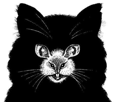 你看到的是猫还是老鼠？